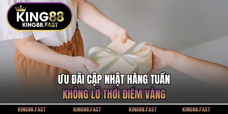 Ưu đãi cập nhật hàng tuần, không lỡ thời điểm vàng